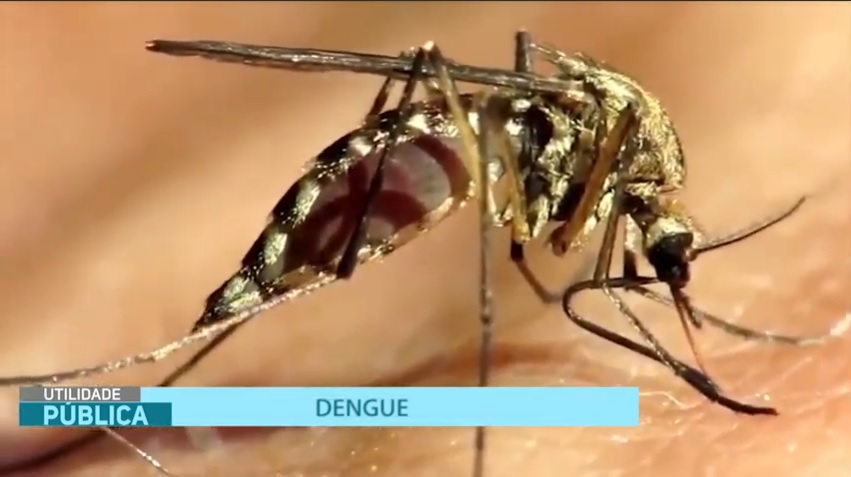 Utilidade Pública – Dengue