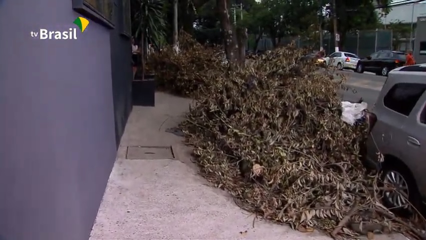 Pesquisa analisa as condições atuais das calçadas públicas do País