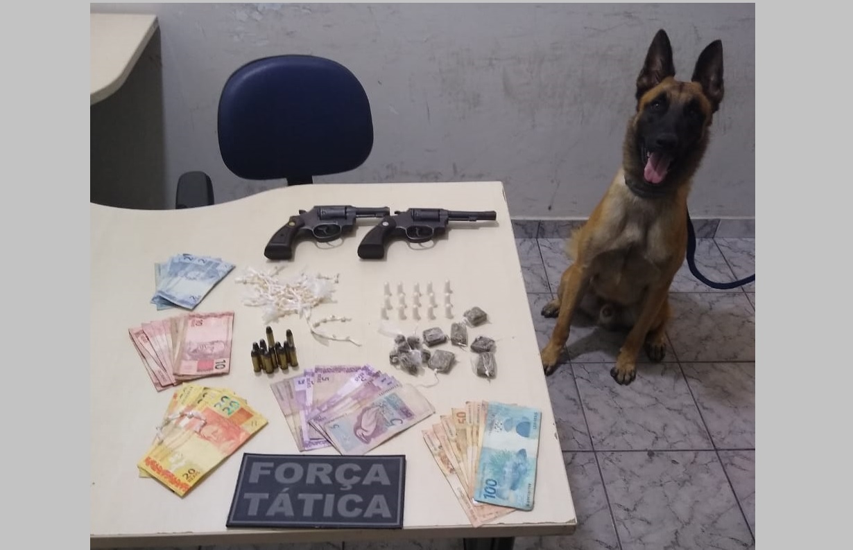 Cão farejador da PM ajuda a desmantelar boca de fumo em Nestor Gomes; três foram presos por tráfico de drogas