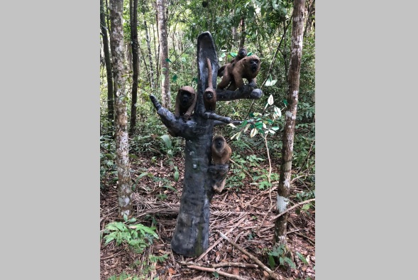 ARTIGO – Reparo de réplicas robóticas de macacos bugios da Floresta Nacional (Flona) do Rio Preto