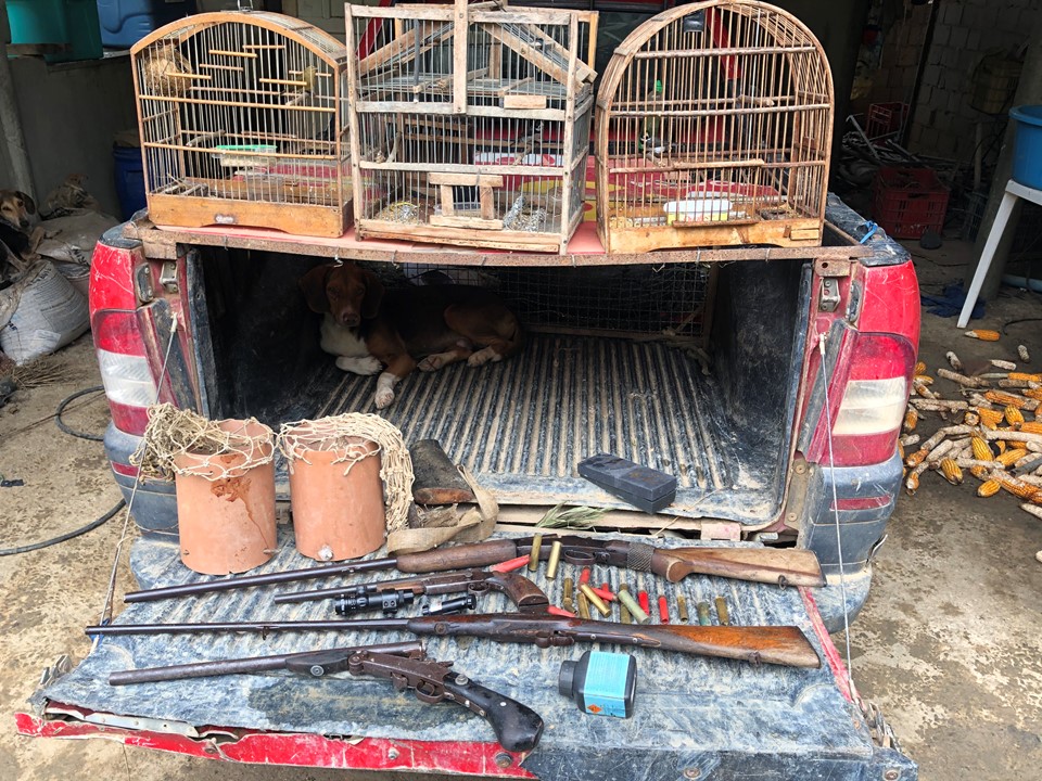 Polícia Ambiental apreende armas de fogo e materiais de caça em Conceição da Barra e Pedro Canário