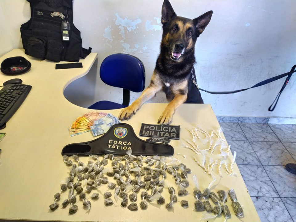 Polícia Militar usa cão Joy e prende suspeitos de tráfico na periferia de São Mateus