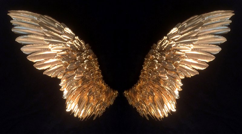 FATOS & VIDA – Aqueles que aceitam as mudanças ganham asas!