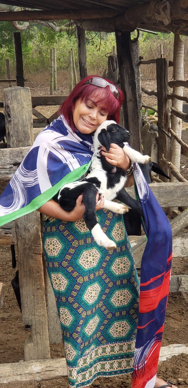 CRÔNICAS DE NEIDE LIMA – A Fazenda