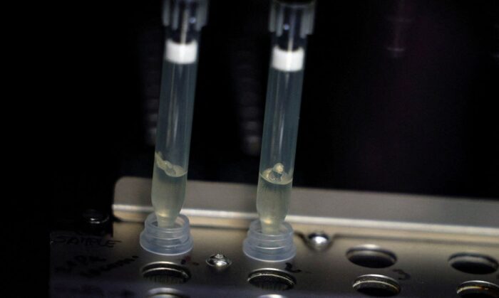 Laboratório da Fiocruz será referência em varíola dos macacos
