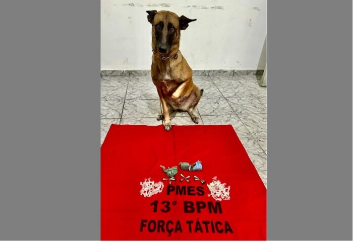 Polícia Militar apreende drogas na periferia de São Mateus