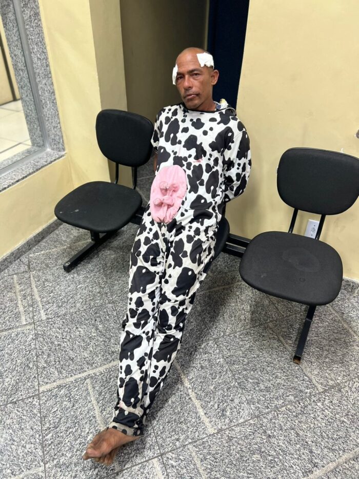 Mulher com chapéu de panda discute com homem vestido de vaca e caso acaba na polícia; entenda