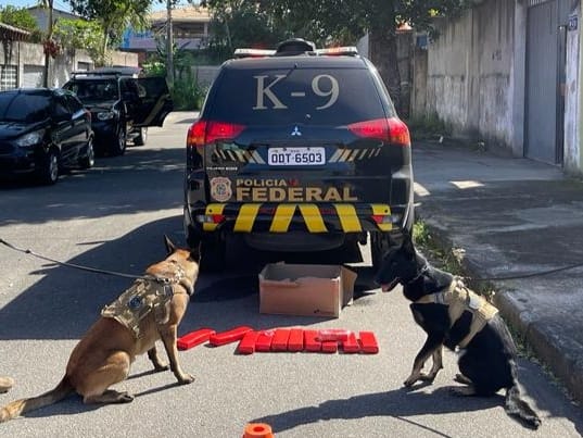 VÍDEO – Polícia Federal intercepta drogas nos Correios e prende destinatário por tráfico; superintendente Eugênio Ricas explica ao caso