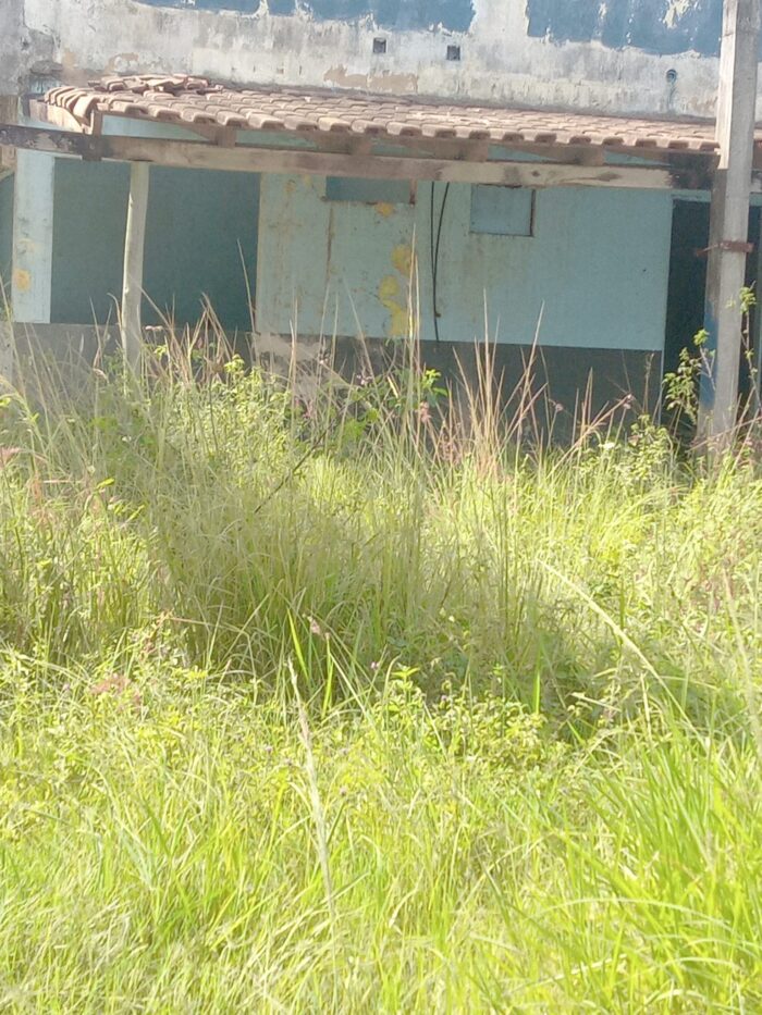 MATAGAL E SUJEIRA POR MAIS TEMPO EM SÃO MATEUS – Gestão Daniel é contestada por descumprir decisão judicial, volta atrás e revoga pregão de R$ 17,3 milhões para contratação de empresa para capina, roçagem e limpeza; veja os detalhes