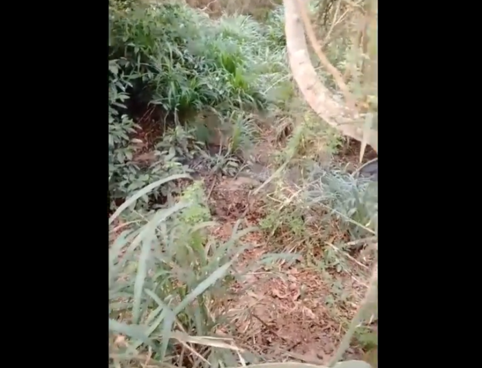 VÍDEO – Com “aumento absurdo da água”, morador denuncia contaminação da água fornecida às casas em Nestor Gomes, zona rural de São Mateus
