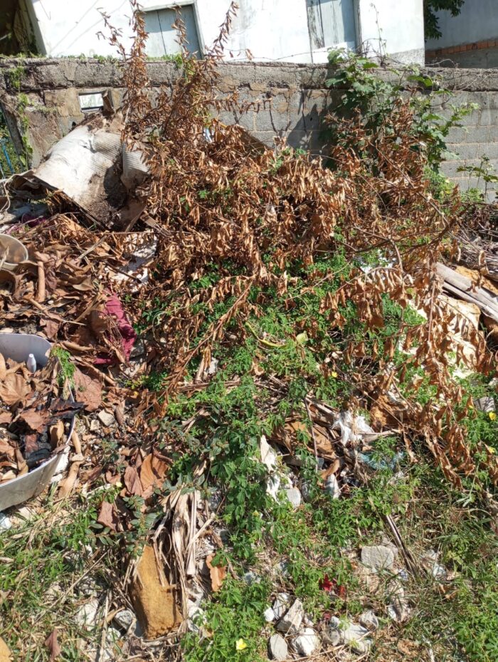 LIXO ACUMULADO EM SÃO MATEUS – Moradores do Bairro Cacique pedem limpeza de rua e apontam promessa não cumprida de vereadora