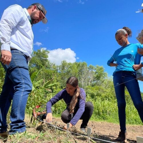 Oficina capacita jovens rurais para manejo sustentável de plantas daninhas e conservação do solo