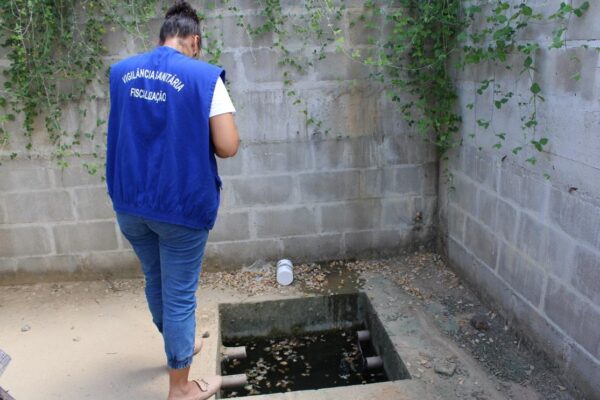 Jaguaré em alerta para o aumento de casos de dengue e chikungunya