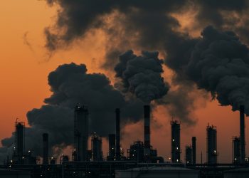 ARTIGO – ESG e a urgência da cooperação: quando o retrocesso de um país ameaça o planeta inteiro