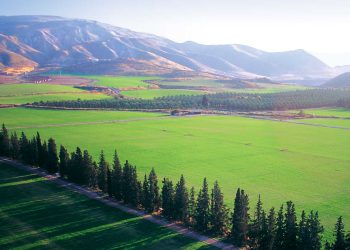 VISÃO ATALAIA – Jesus e a sublime tranquilidade interior