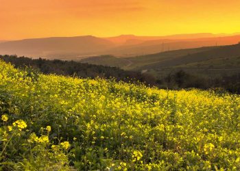 VISÃO ATALAIA – A bem-aventurança inimaginável para os vencedores em Cristo
