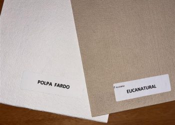 Suzano desenvolve o Eucanatural, celulose marrom de eucalipto para embalagens sustentáveis