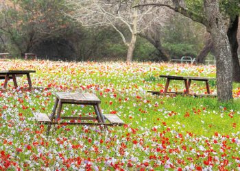 VISÃO ATALAIA – Já nos encontramos na última hora